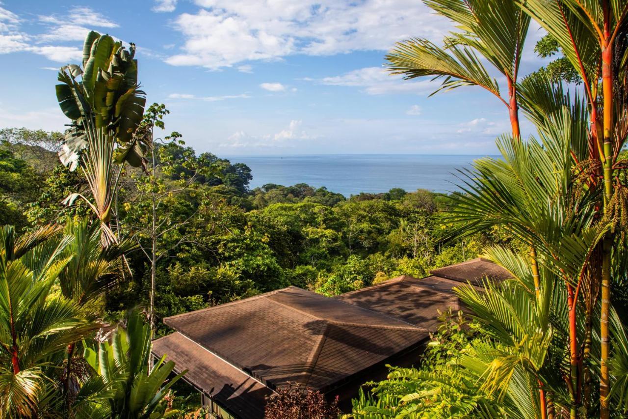 Tiki Villas Rainforest Lodge - Adults Only Uvita Ngoại thất bức ảnh