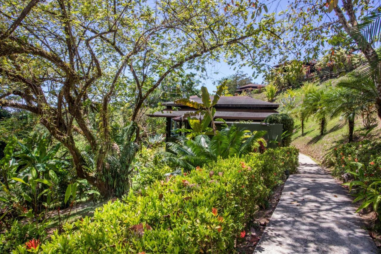 Tiki Villas Rainforest Lodge - Adults Only Uvita Ngoại thất bức ảnh