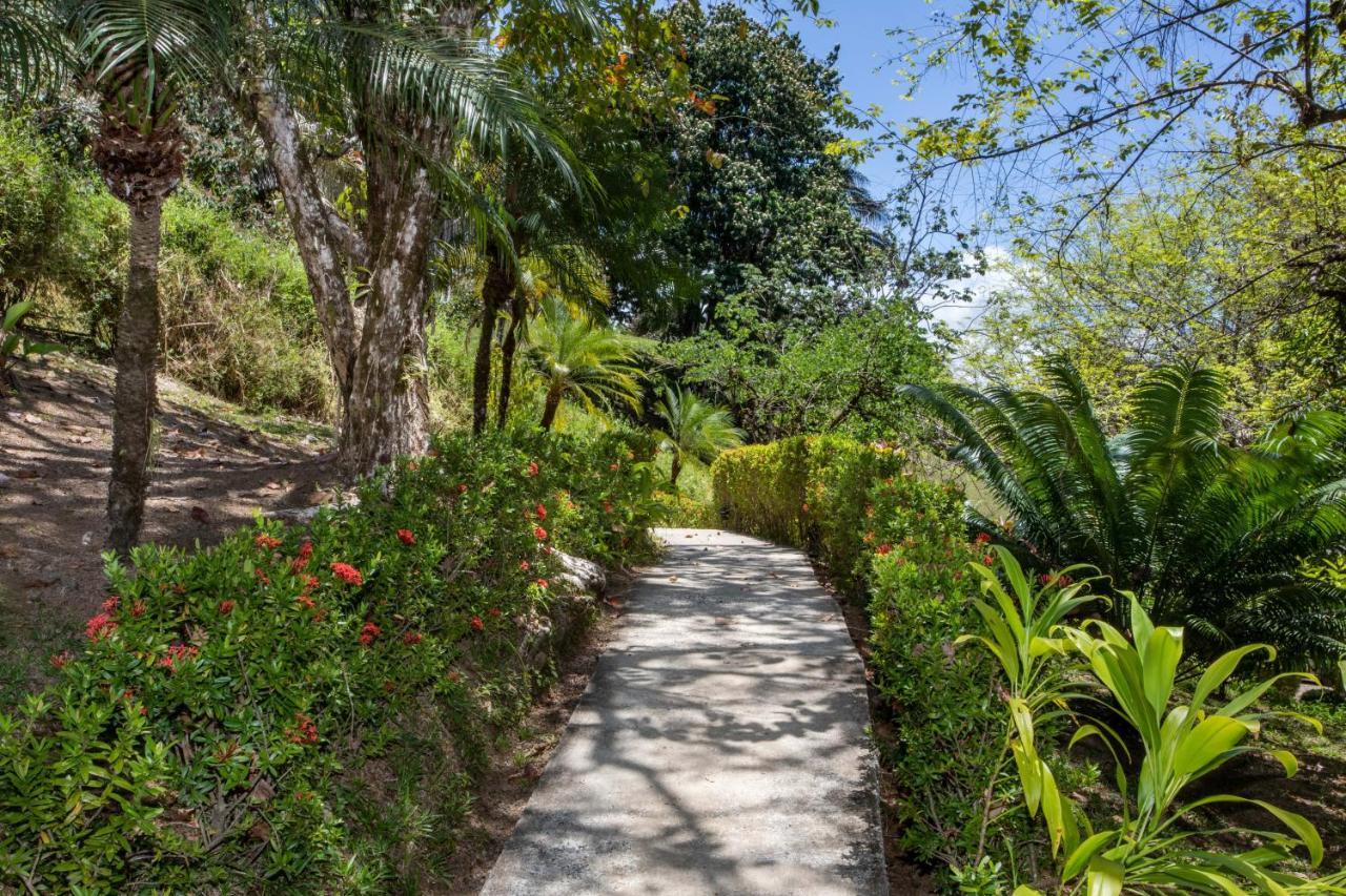 Tiki Villas Rainforest Lodge - Adults Only Uvita Ngoại thất bức ảnh