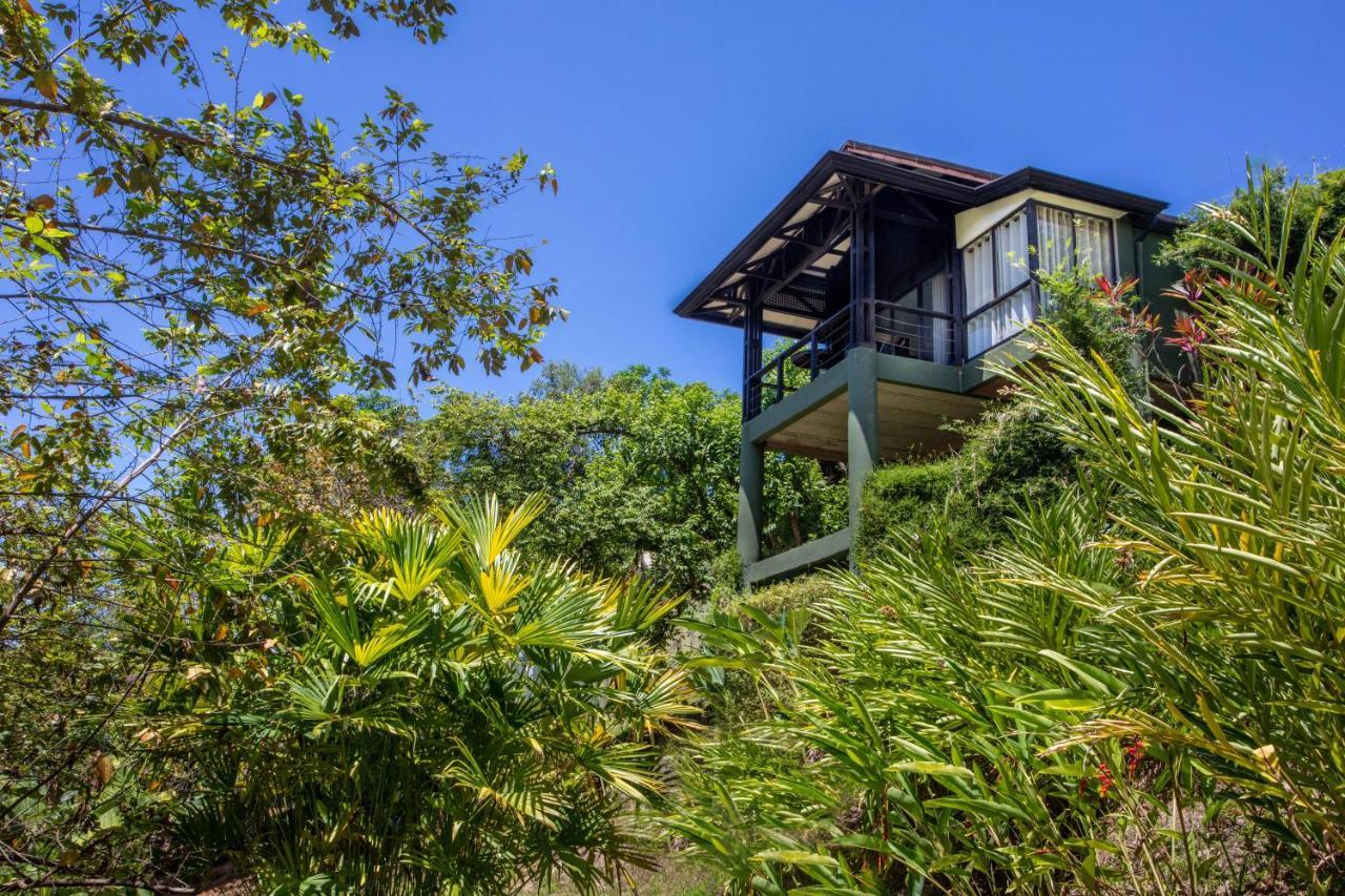 Tiki Villas Rainforest Lodge - Adults Only Uvita Ngoại thất bức ảnh